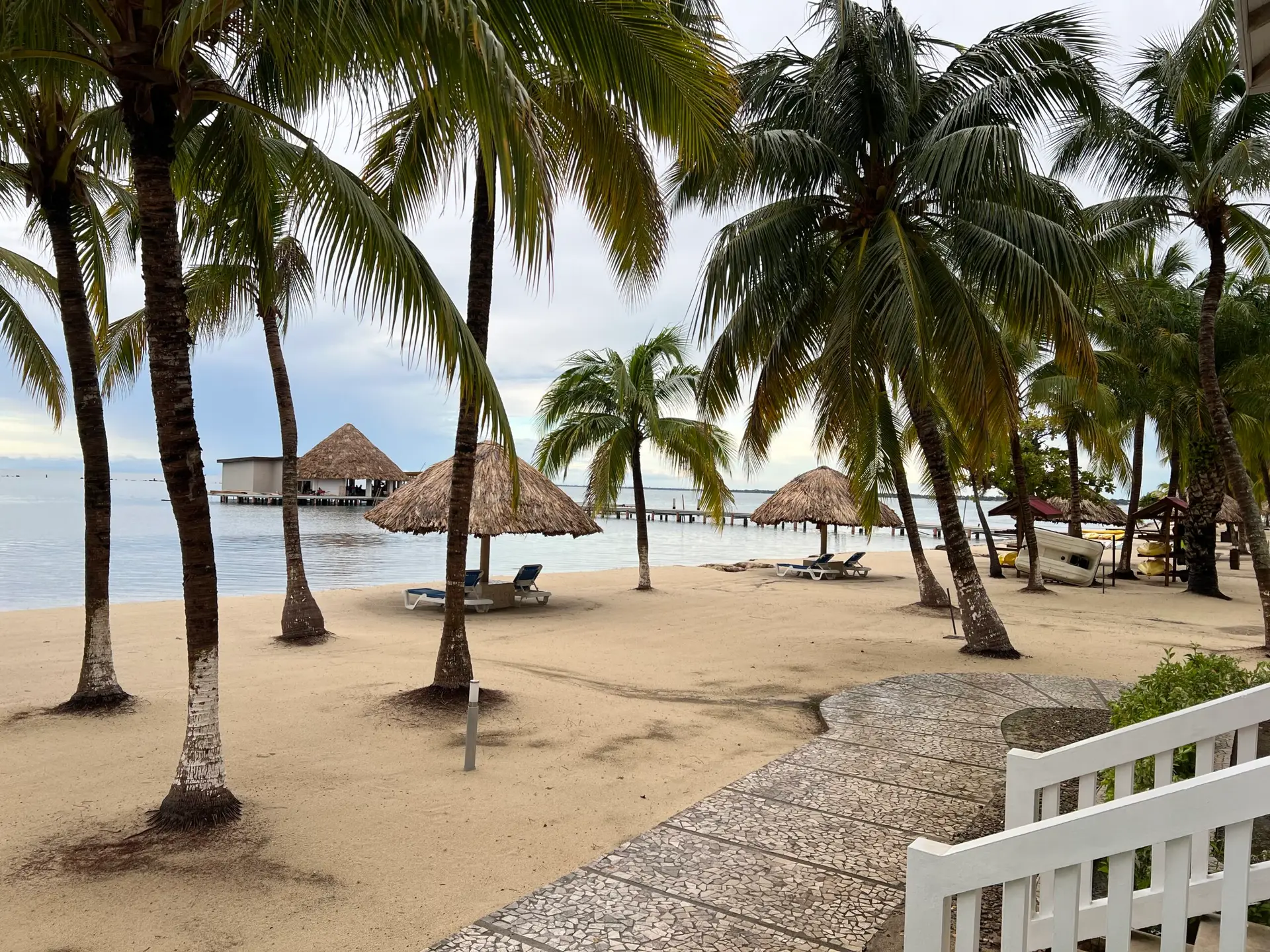 PLACENCIA BEAUTY